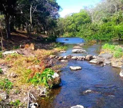 Cabaña de piedra volcánica | Para 8 | Carrizal · foto 35