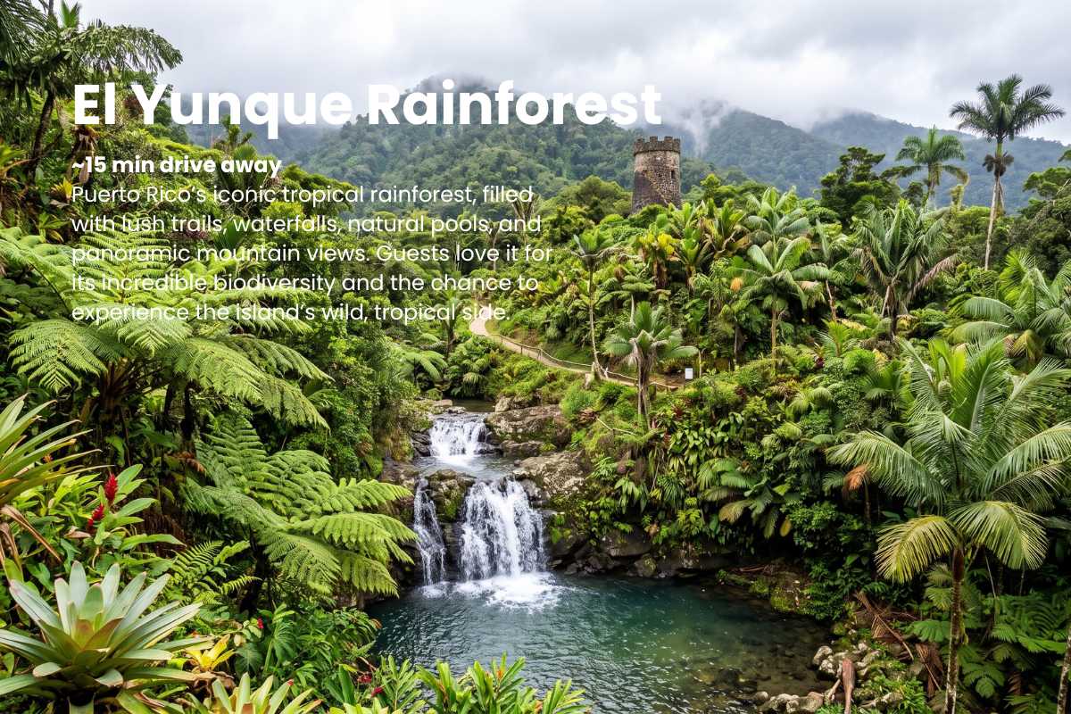 Cerca del mar | Playa del Yunque a 12 min | Vista a la montaña · foto 6