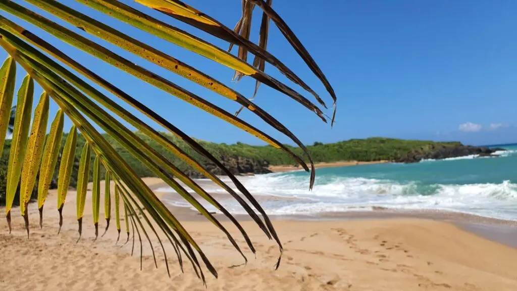 Perfecta para viajeros que buscan relajarse bajo el sol cálido.