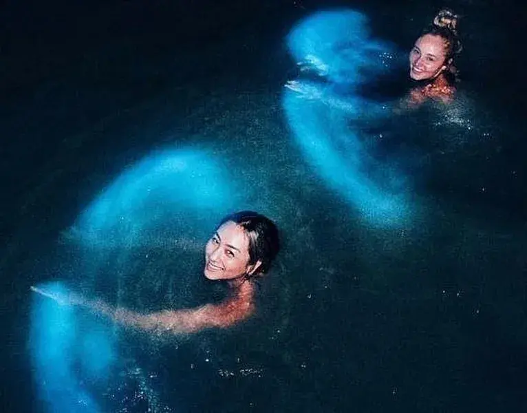 Bahía bioluminiscente: la guía completa