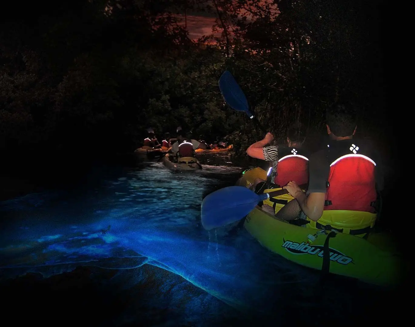Bahías bioluminiscentes