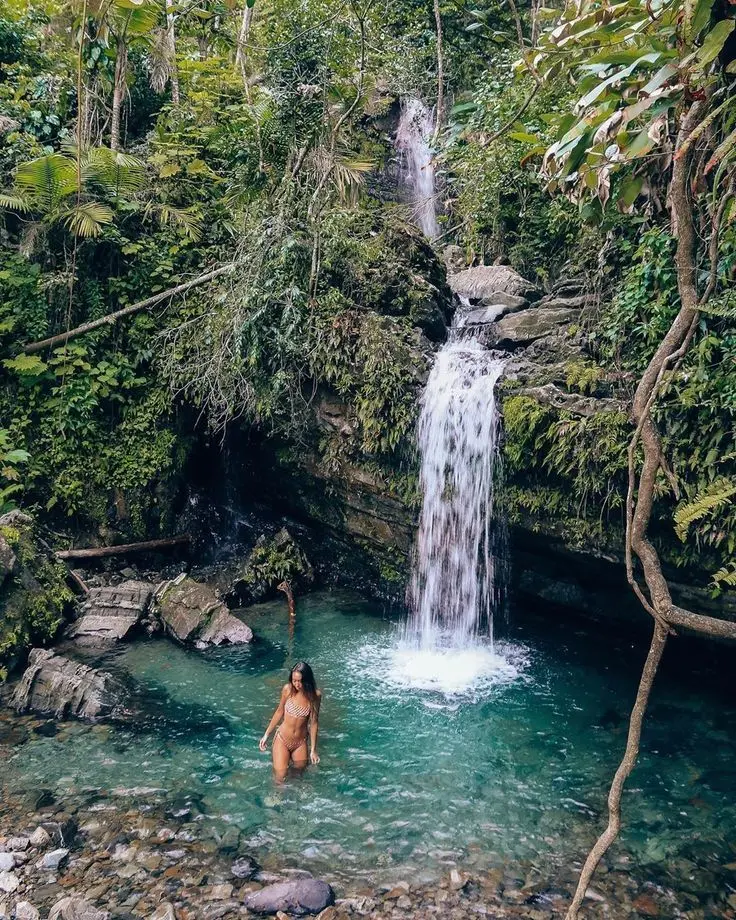 ¿Son suficientes 4 días en Puerto Rico? Bosque lluvioso de El Yunque