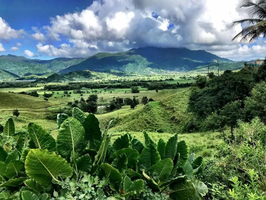Día 3: Bosque Nacional El Yunque, un escape exuberante