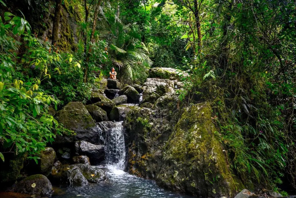 Un romance con Puerto Rico: tu itinerario de 7 días en Puerto Rico