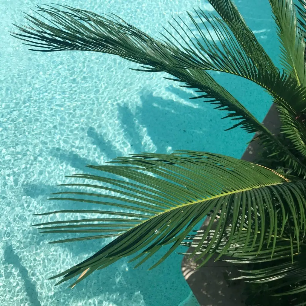 Playa Flamenco: disfruta de la belleza impecable de Playa Flamenco