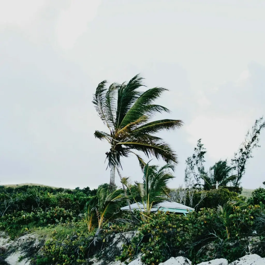 Playa Flamenco: rincón apartado