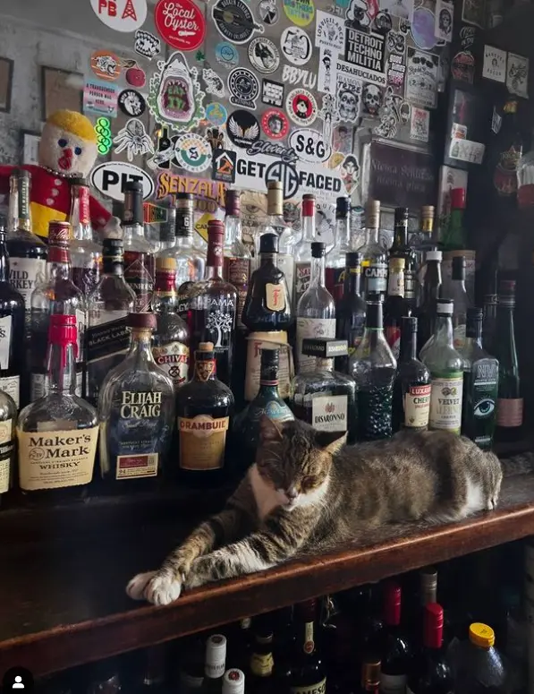 El Batey Bar