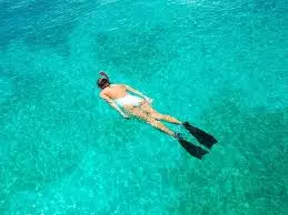 Qué hacer en Vieques