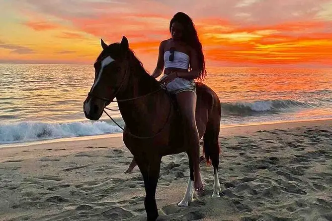 Qué hacer en Vieques