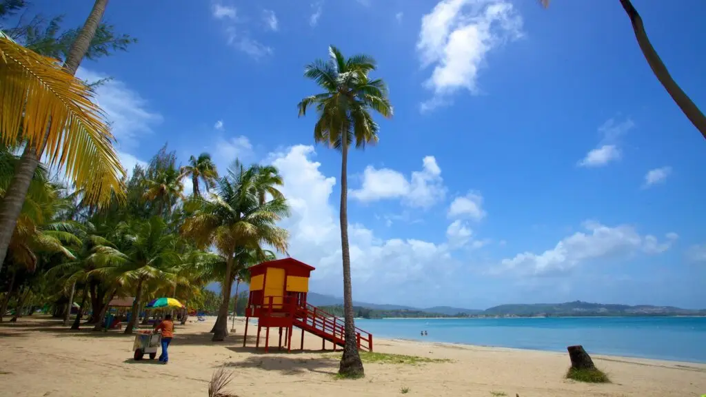 El cielo es de un azul sereno y despejado, con nubes blancas dispersas que prometen un día soleado. El agua más allá de la playa es tranquila y cristalina, y refleja un tono azul profundo. Las palmeras salpican la extensión de arena, algunas inclinándose con gracia hacia el agua, ofreciendo sombra y evocando una atmósfera tropical atemporal.