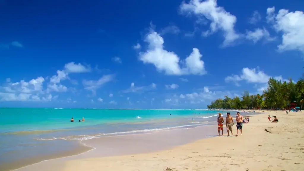 El cielo es de un azul sereno y despejado, con nubes blancas dispersas que prometen un día soleado. El agua más allá de la playa es tranquila y cristalina, y refleja un tono azul profundo. Las palmeras salpican la extensión de arena, algunas inclinándose con gracia hacia el agua, ofreciendo sombra y evocando una atmósfera tropical atemporal.