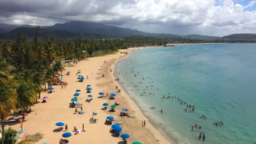 El cielo es de un azul sereno y despejado, con nubes blancas dispersas que prometen un día soleado. El agua más allá de la playa es tranquila y cristalina, y refleja un tono azul profundo. Las palmeras salpican la extensión de arena, algunas inclinándose con gracia hacia el agua, ofreciendo sombra y evocando una atmósfera tropical atemporal.