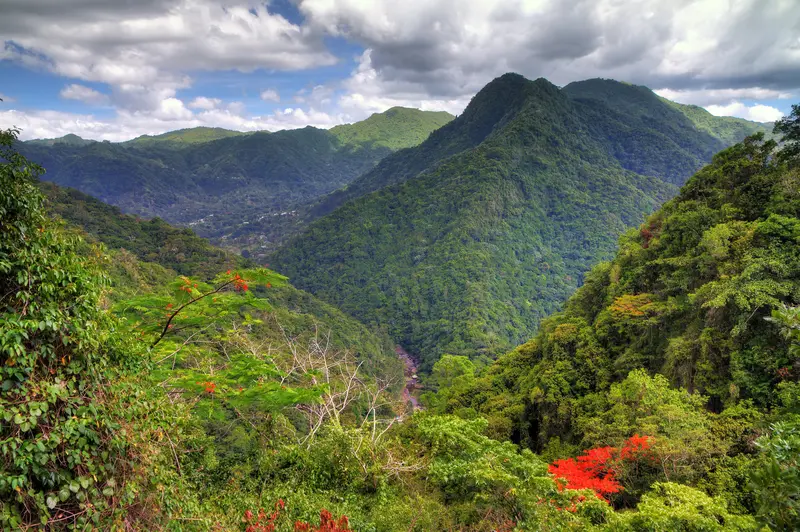 11 cosas para hacer en Río Grande, Puerto Rico