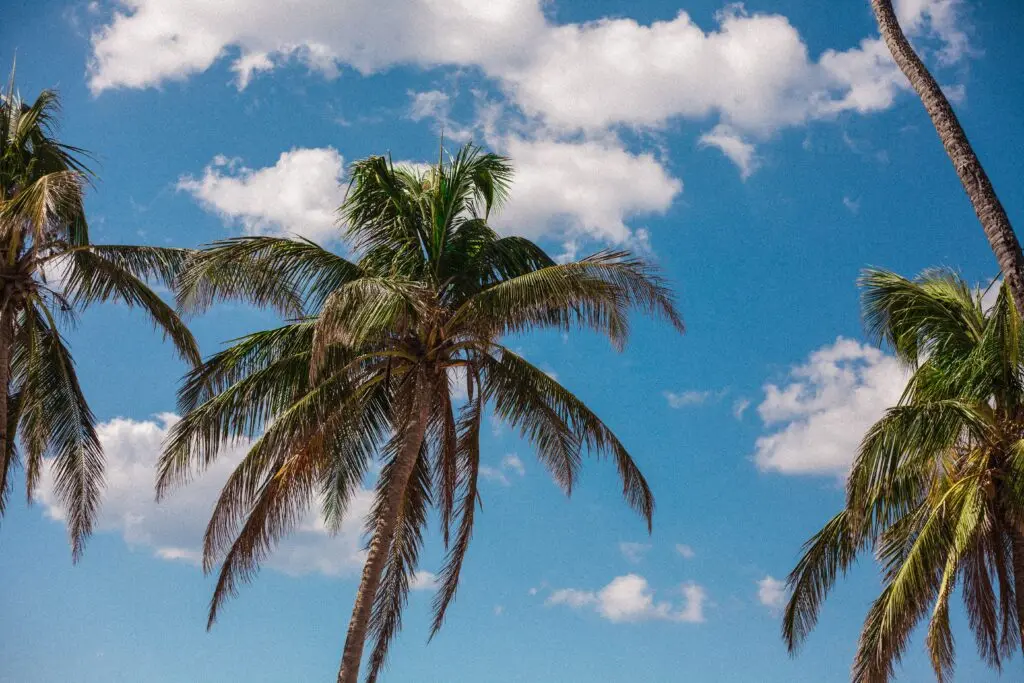 Viaja este verano al soleado Puerto Rico y disfruta de la playa