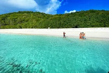 Descubre vibrantes arrecifes de coral llenos de vida en aguas cristalinas, rodeado de suave arena blanca.